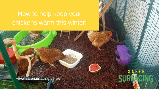 Keeping your chickens warm with rubber chippings