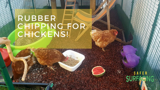 Chicken run rubber – happy feet for chickens!